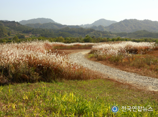 비내길과 비내섬
