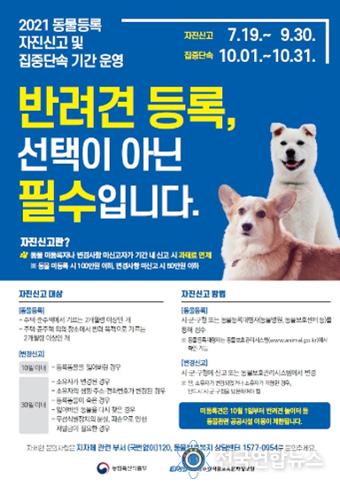 대전시, 10월 한 달간 반려동물등록 일제점검 실시