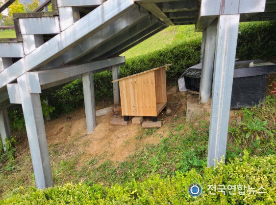 길고양이 급식소