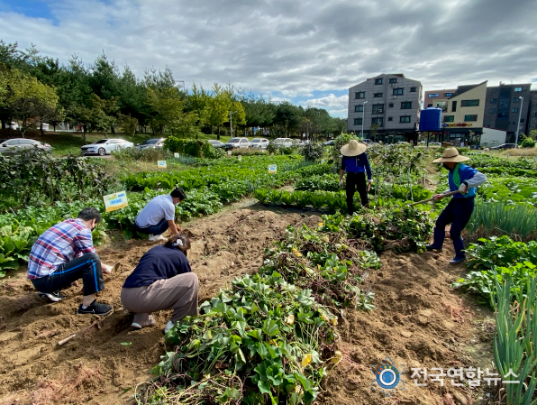 대전시, 텃밭작물 나눔으로 이웃사랑 실천