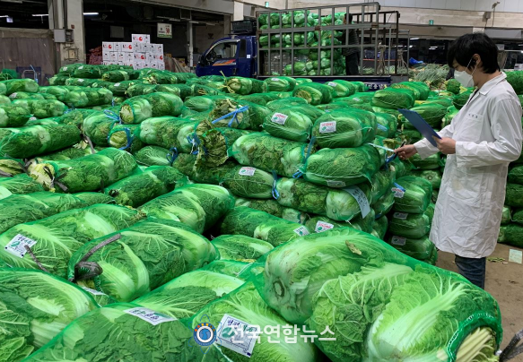 대전보건환경硏, 김장채소류 등 안전성 검사 실시