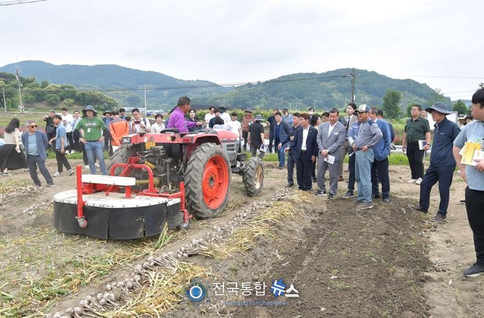 공주시, “스마트한 농업으로 수확철 마늘 일손 덜어요”